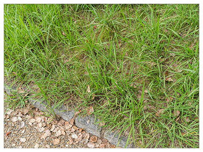 こんなお悩みありませんか1