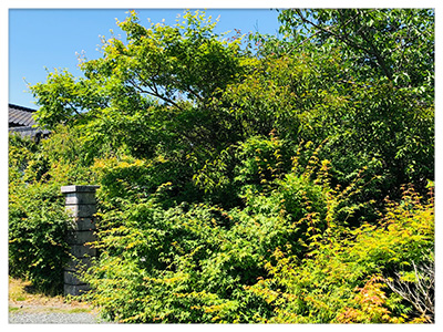 こんなお悩みありませんか3