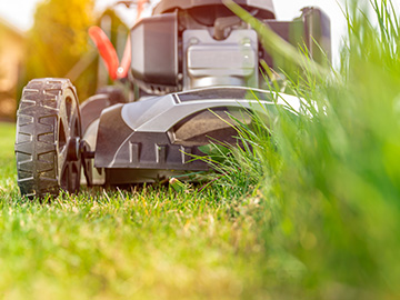 草刈・剪定イメージ3