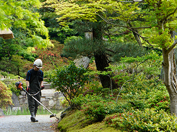 草刈・剪定イメージ6
